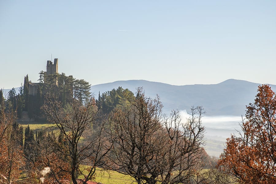 Guided tours in the Casentino Valley