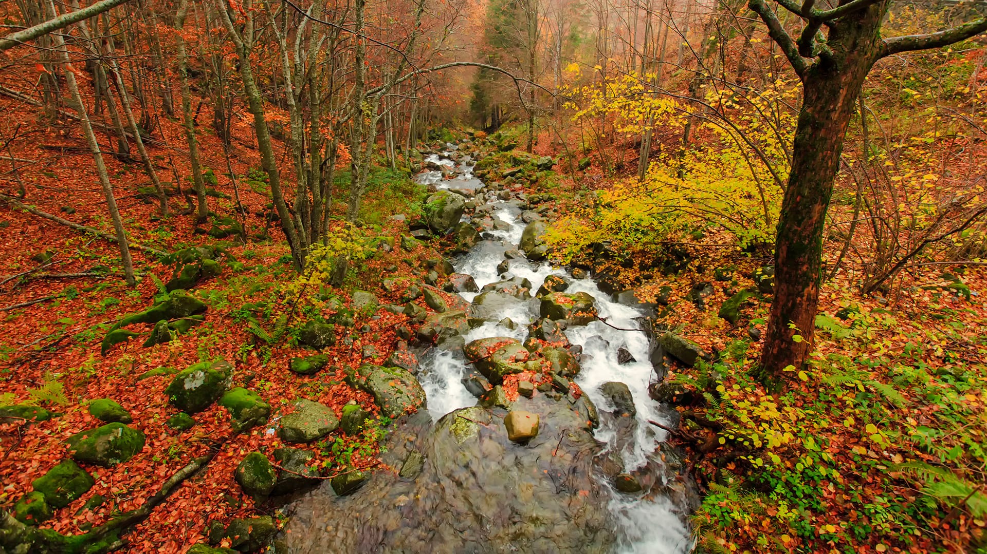 Guided tours in the Casentino Valley