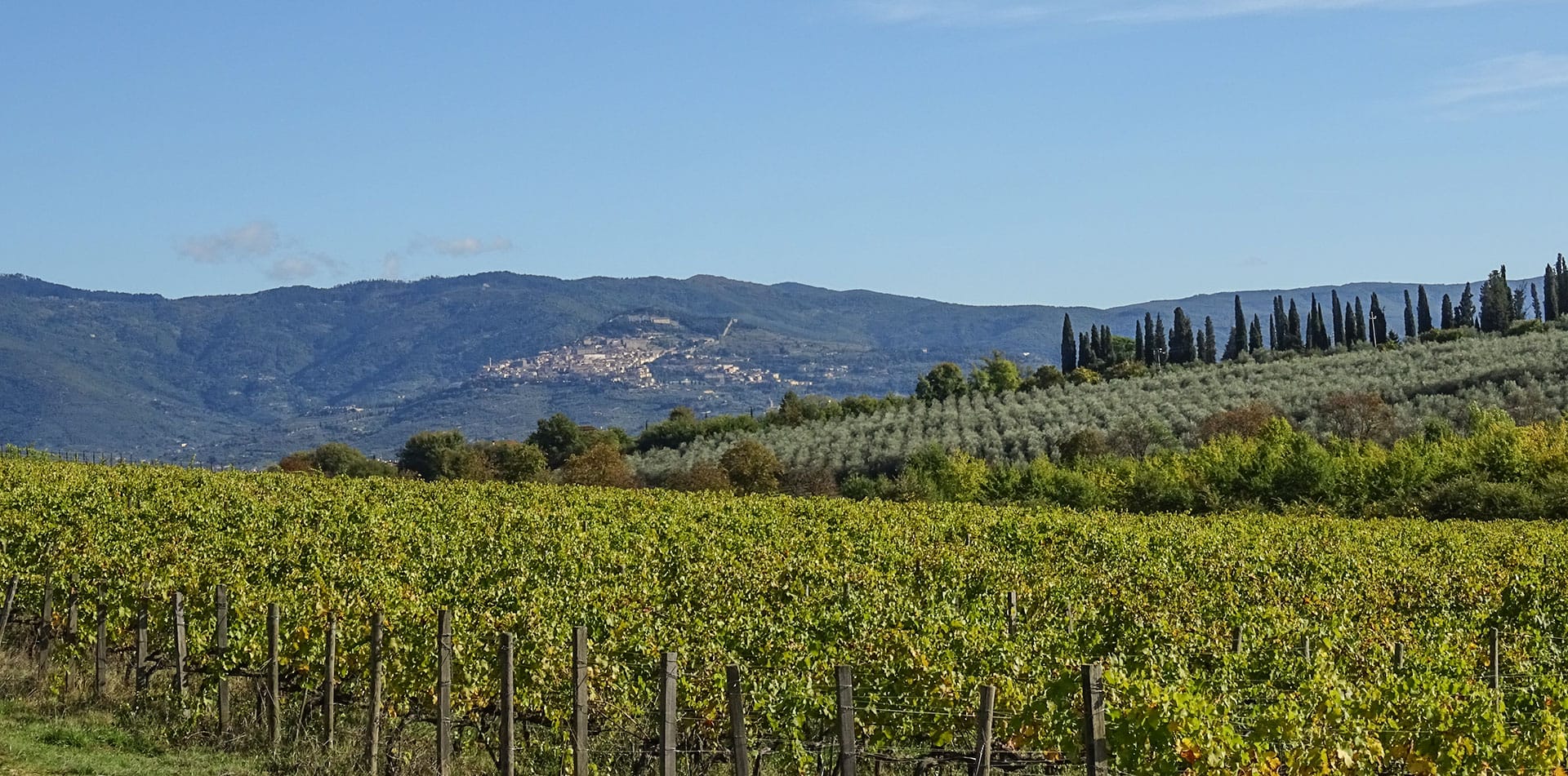 Guided tour of Cortona and its surroundings