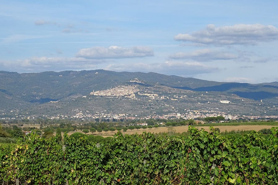 Organizzazione viste guidate a Cortona, Arezzo, Siena