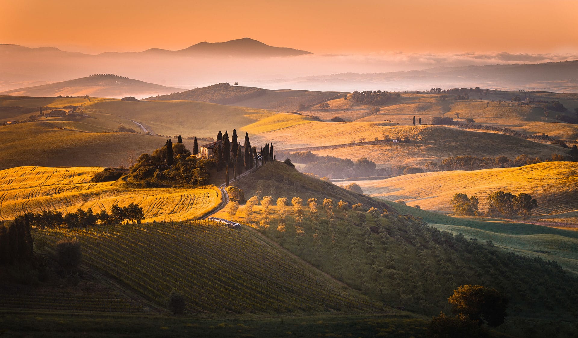 Guided tour of Siena and the Val d'Orcia valley