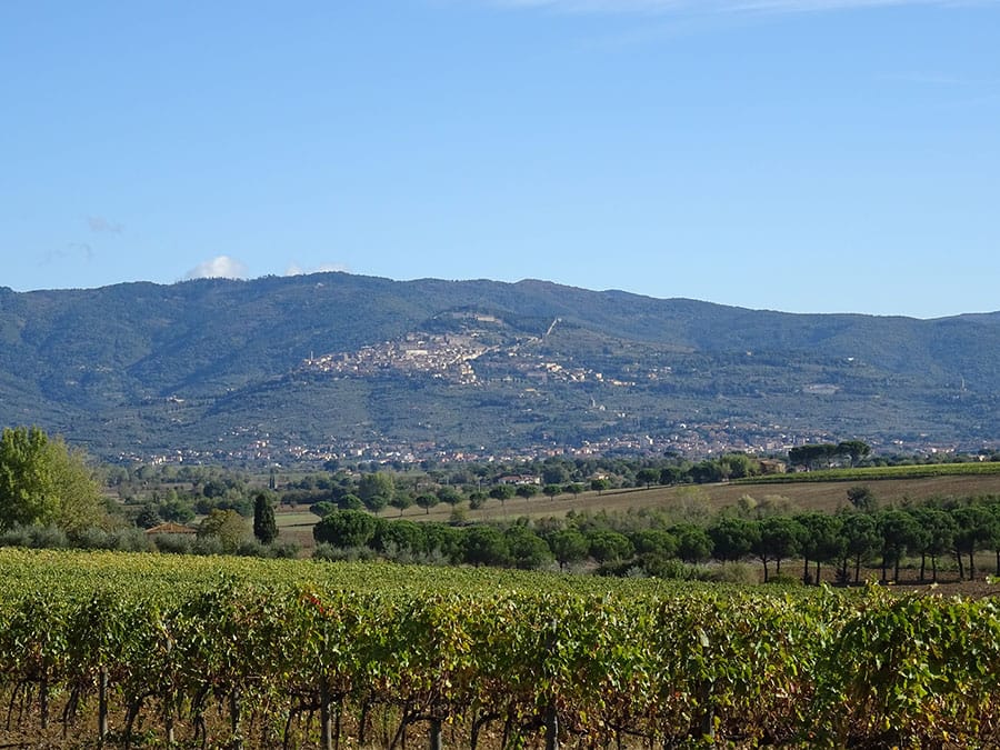 A guided tour of the Abbey of Farneta near Cortona