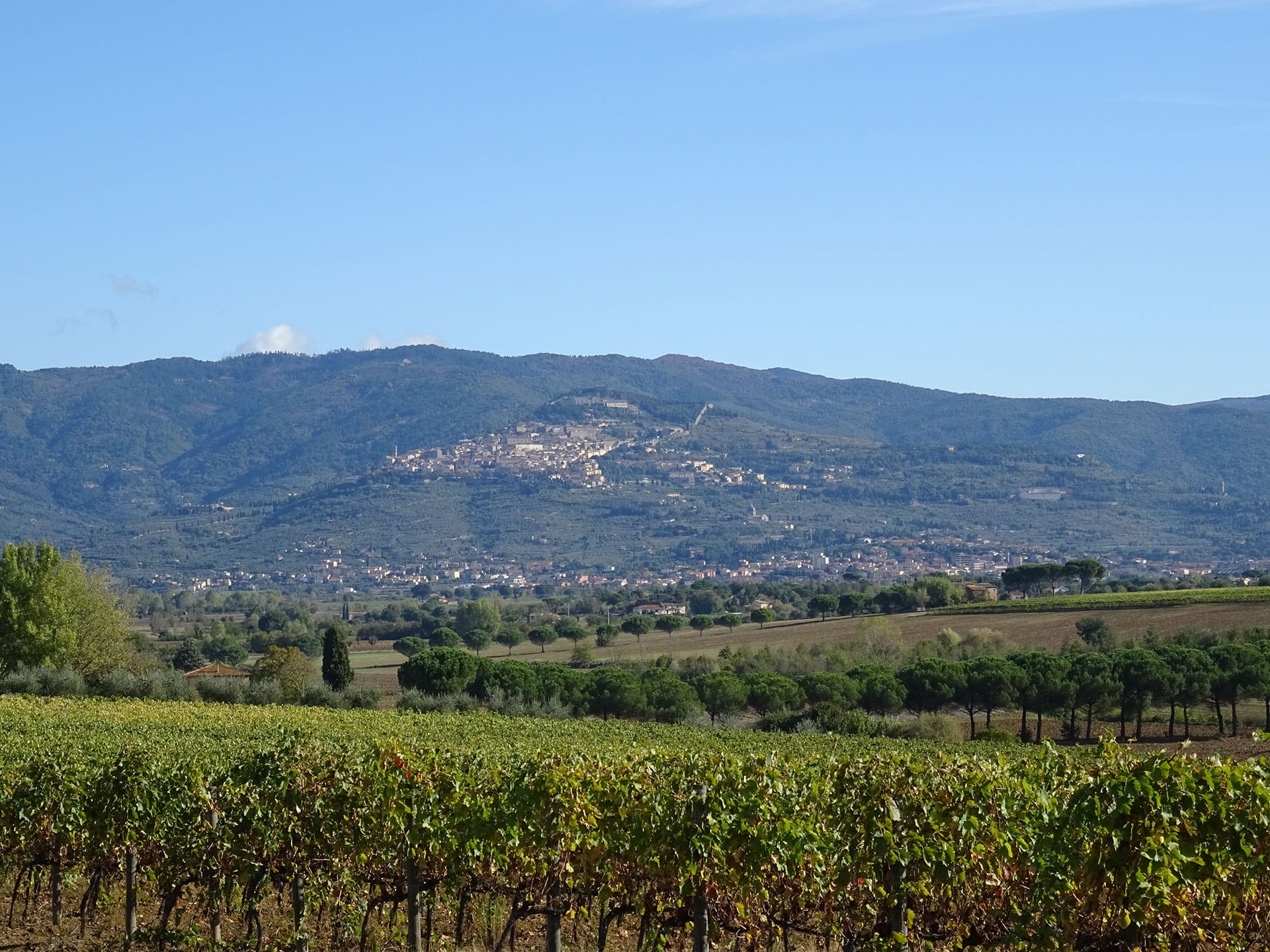 Guided tour of Cortona in a weekend