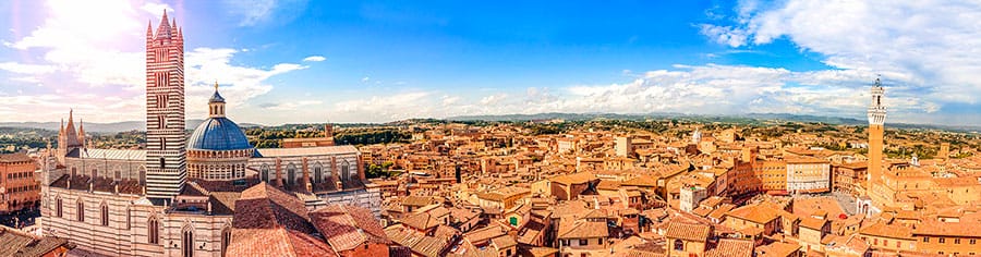Guided tour of Siena