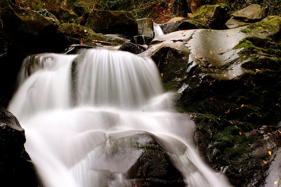 Guided tours in the Valdarno valley