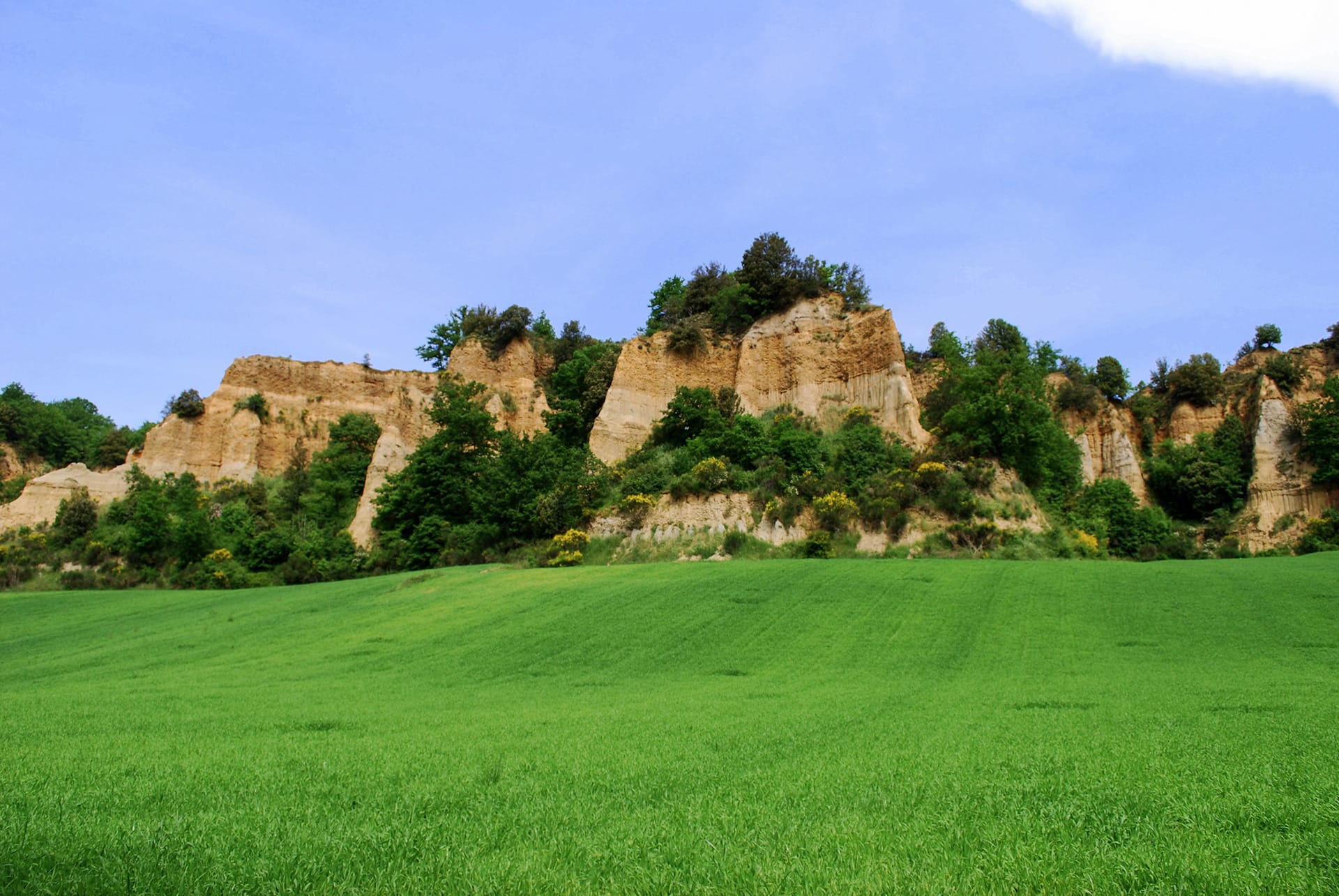 Guided tours in the Valdarno valley