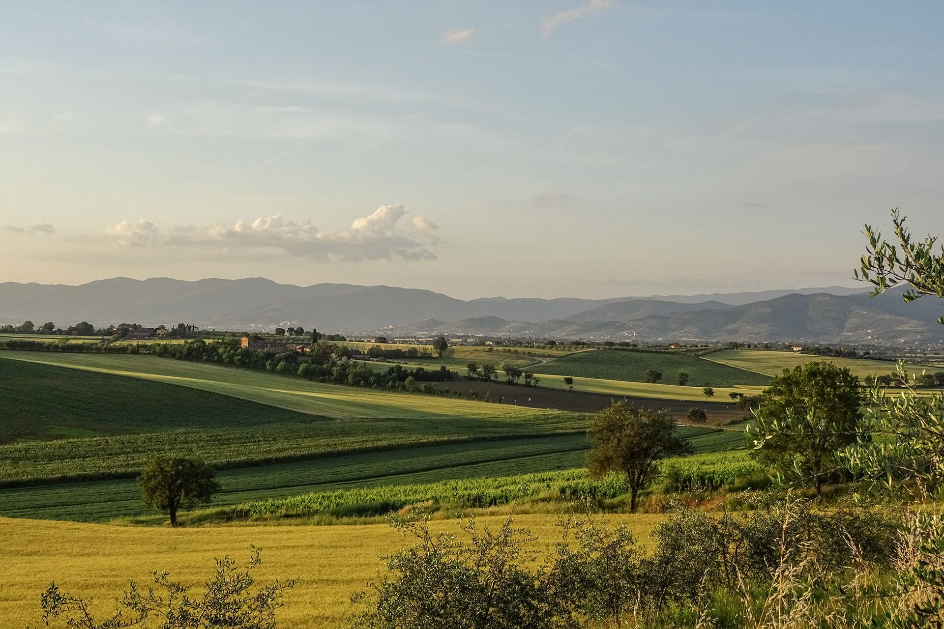 Visita guidata in Valdichiana